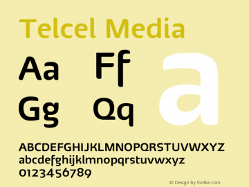 Telcel Media Version 1.00 2010图片样张