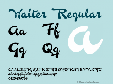 Waiter 1.000 Font Sample