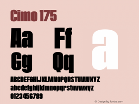 Cimo 175 Version 1.000;PS 001.000;hotconv 1.0.88;makeotf.lib2.5.64775 Font Sample