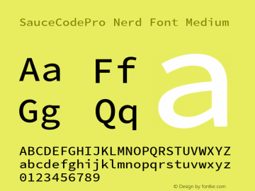 Sauce Code Pro Medium Nerd Font Complete Version 2.010;PS 1.000;hotconv 1.0.84;makeotf.lib2.5.63406 Font Sample