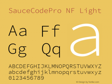 Sauce Code Pro Light Nerd Font Complete Mono Windows Compatible Version 2.010;PS 1.000;hotconv 1.0.84;makeotf.lib2.5.63406图片样张