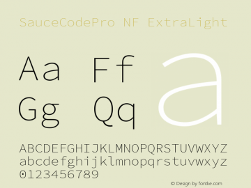 Sauce Code Pro ExtraLight Nerd Font Complete Mono Windows Compatible Version 2.010;PS 1.000;hotconv 1.0.84;makeotf.lib2.5.63406 Font Sample