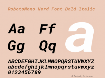 Roboto Mono Bold Italic Nerd Font Complete Version 2.000986; 2015; ttfautohint (v1.3) Font Sample