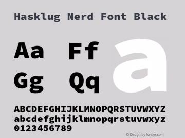 Hasklug Black Nerd Font Complete Version 2.030;PS 1.0;hotconv 16.6.51;makeotf.lib2.5.65220 Font Sample