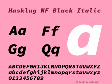 Hasklug Black Italic Nerd Font Complete Windows Compatible Version 1.050;PS 1.0;hotconv 16.6.51;makeotf.lib2.5.65220图片样张