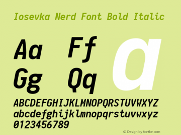 Iosevka Bold Italic Nerd Font Complete 1.8.4; ttfautohint (v1.5) Font Sample