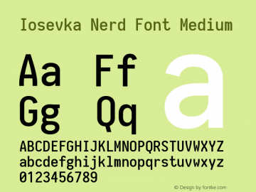 Iosevka Medium Nerd Font Complete 1.8.4; ttfautohint (v1.5) Font Sample