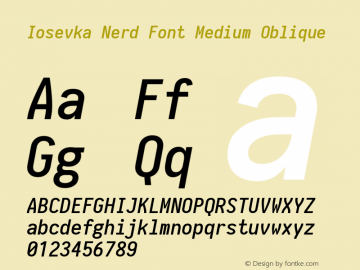 Iosevka Medium Oblique Nerd Font Complete 1.8.4; ttfautohint (v1.5) Font Sample