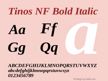 Tinos Bold Italic Nerd Font Complete Windows Compatible Version 1.23 Font Sample