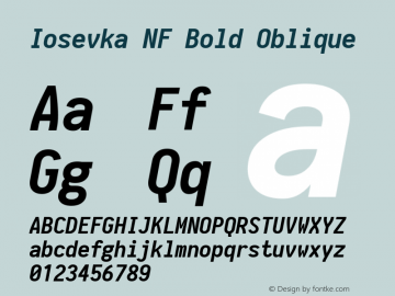 Iosevka Bold Oblique Nerd Font Complete Windows Compatible 1.8.4; ttfautohint (v1.5) Font Sample
