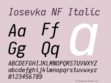 Iosevka Italic Nerd Font Complete Windows Compatible 1.8.4; ttfautohint (v1.5)图片样张