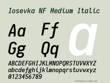 Iosevka Medium Italic Nerd Font Complete Windows Compatible 1.8.4; ttfautohint (v1.5)图片样张