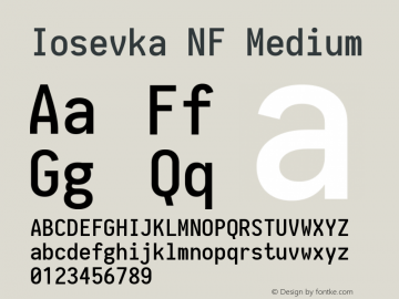 Iosevka Medium Nerd Font Complete Windows Compatible 1.8.4; ttfautohint (v1.5) Font Sample