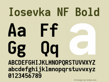 Iosevka Bold Nerd Font Complete Windows Compatible 1.8.4; ttfautohint (v1.5) Font Sample