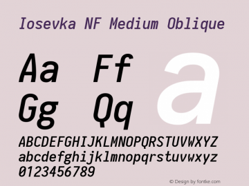 Iosevka Medium Oblique Nerd Font Complete Windows Compatible 1.8.4; ttfautohint (v1.5) Font Sample