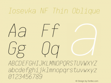 Iosevka Thin Oblique Nerd Font Complete Windows Compatible 1.8.4; ttfautohint (v1.5) Font Sample