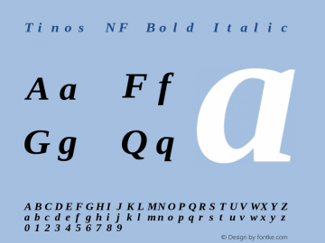 Tinos Bold Italic Nerd Font Complete Mono Windows Compatible Version 1.23 Font Sample