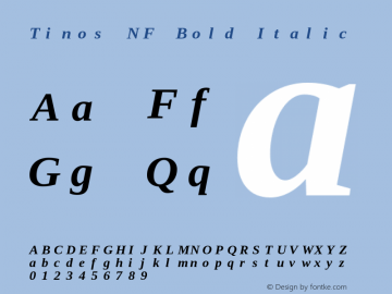 Tinos Bold Italic Nerd Font Complete Mono Windows Compatible Version 1.23图片样张