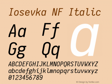 Iosevka Italic Nerd Font Complete Mono Windows Compatible 1.8.4; ttfautohint (v1.5) Font Sample