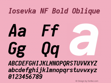 Iosevka Bold Oblique Nerd Font Complete Mono Windows Compatible 1.8.4; ttfautohint (v1.5) Font Sample