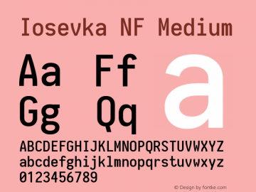 Iosevka Medium Nerd Font Complete Mono Windows Compatible 1.8.4; ttfautohint (v1.5) Font Sample