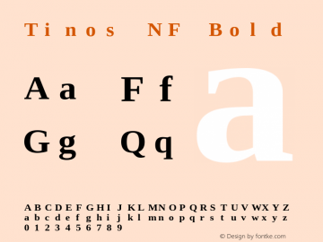 Tinos Bold Nerd Font Complete Mono Windows Compatible Version 1.23图片样张