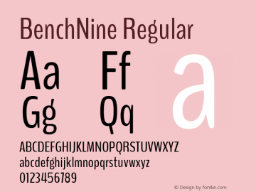 BenchNine Regular Version 1 ; ttfautohint (v0.92.18-e454-dirty) -l 8 -r 50 -G 200 -x 0 -w 