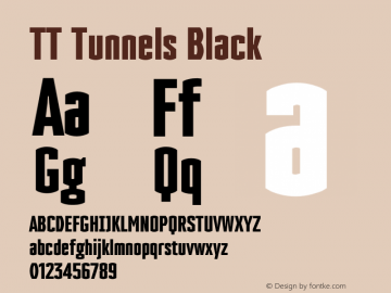 TT Tunnels Black Version 1.000图片样张