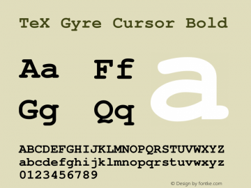 TeXGyreCursor Bold Version 1.103;PS 1.103;hotconv 1.0.49;makeotf.lib2.0.14853 Font Sample