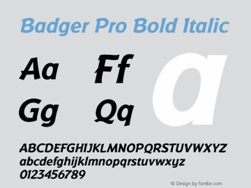 BadgerPro-BoldItalic www.HouseofType.com;com.myfonts.easy.redrooster.badger-pro.bold-italic.wfkit2.version.3nPD图片样张