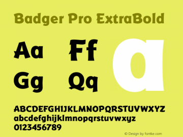BadgerPro-ExtraBold Version 4.001;com.myfonts.easy.redrooster.badger-pro.extra-bold.wfkit2.version.3nPz图片样张