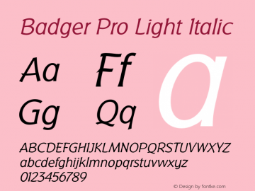 BadgerPro-LightItalic Version 4.001;com.myfonts.easy.redrooster.badger-pro.light-italic.wfkit2.version.3nPE图片样张