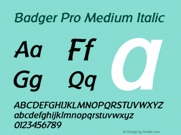 BadgerPro-MediumItalic Version 4.001;com.myfonts.easy.redrooster.badger-pro.medium-italic.wfkit2.version.3nPC图片样张