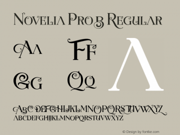 Novelia Pro B Version 1.000 Font Sample