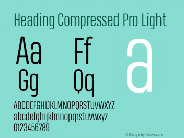 Heading Compressed Pro Light Version 1.001图片样张