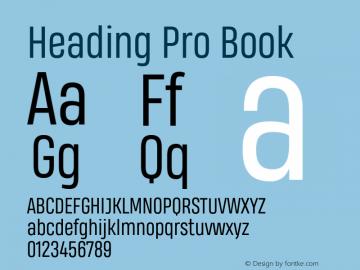 HeadingPro-Book Version 1.001图片样张