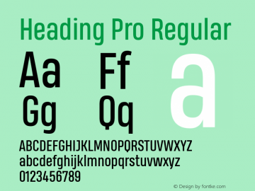 Heading Pro Regular Version 1.001 Font Sample