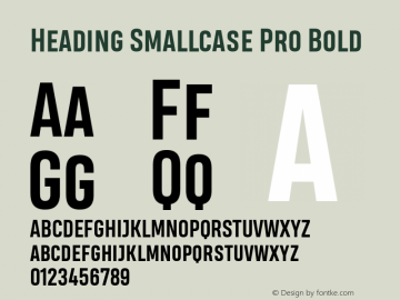 HeadingSmallcasePro-Bold Version 2.001 Font Sample
