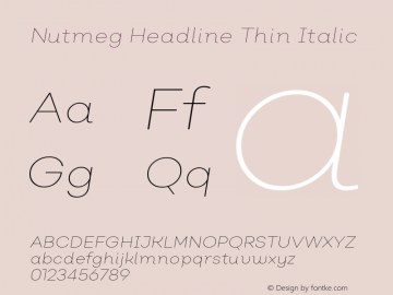 Nutmeg Headline Thin Italic Version 1.000;PS 001.000;hotconv 1.0.88;makeotf.lib2.5.64775图片样张