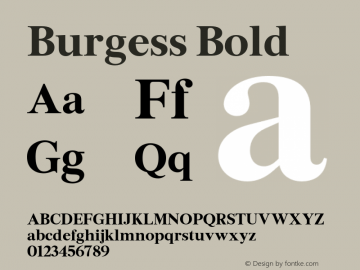 Burgess-Bold Version 1.001图片样张