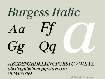 Burgess Italic Version 1.001图片样张