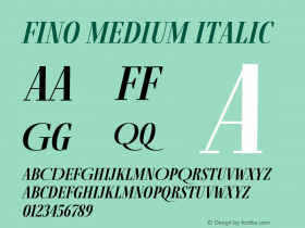 Fino Medium Italic Version 1.012;PS 001.012;hotconv 1.0.88;makeotf.lib2.5.64775 Font Sample
