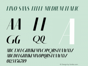 Fino Sans Title Medium Italic Version 1.012;PS 001.012;hotconv 1.0.88;makeotf.lib2.5.64775图片样张