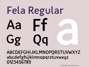Fela-Regular Version 1.002;PS 001.002;hotconv 1.0.88;makeotf.lib2.5.64775图片样张