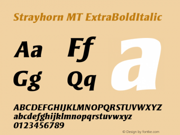 Strayhorn MT Extra Bold Italic Version 001.001 Font Sample