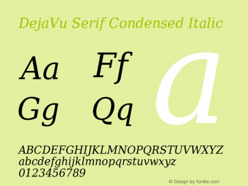 DejaVu Serif Condensed Italic Version 2.22 Font Sample