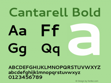 Cantarell Bold Version 0.0.8 Font Sample