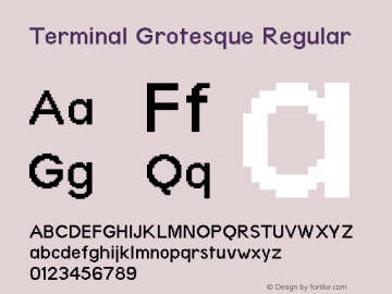 Terminal Grotesque Regular Version 1.0图片样张