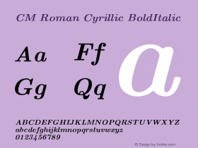 Computer Modern Roman Cyrillic Bold Italic Version 001.001图片样张