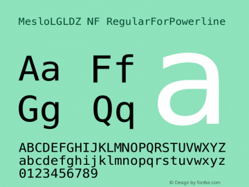 Meslo LG L DZ Regular for Powerline Nerd Font Plus Font Awesome Plus Octicons Plus Pomicons Windows Compatible 1.210图片样张